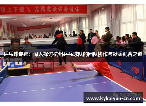 乒乓球专题：深入探讨杭州乒乓球队的团队协作与默契配合之道
